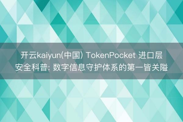 开云kaiyun(中国) TokenPocket 进口层安全科普: 数字信息守护体系的第一皆关隘