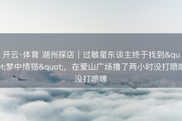 开云·体育 湖州探店｜过敏星东谈主终于找到"梦中情猫"，在爱山广场撸了两小时没打喷嚏