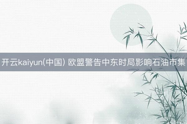 开云kaiyun(中国) 欧盟警告中东时局影响石油市集