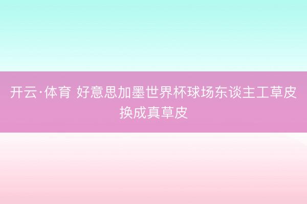 开云·体育 好意思加墨世界杯球场东谈主工草皮换成真草皮