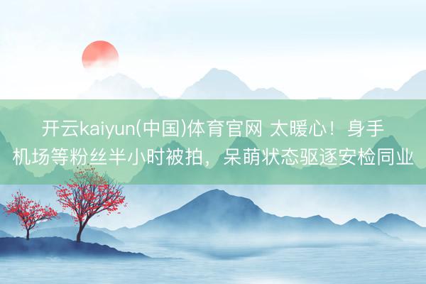 开云kaiyun(中国)体育官网 太暖心！身手机场等粉丝半小时被拍，呆萌状态驱逐安检同业
