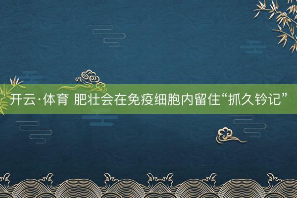 开云·体育 肥壮会在免疫细胞内留住“抓久钤记”